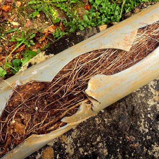The Drain & Sewer Professionals In Gilles Plains
